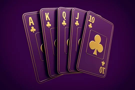 Win Vegas آن لائن کیسینو میں کھیلنے کی وجوہات